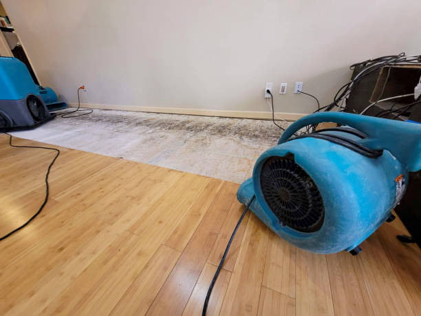 Professional Sewage Cleanup technician working in North Bend, OR